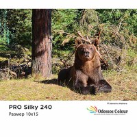 Фотохартия 10x15 PRO SILKY 240гр. - 100 листа